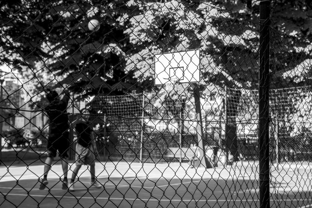 Foto di PhotoMilano - Club Fotografico Milanese