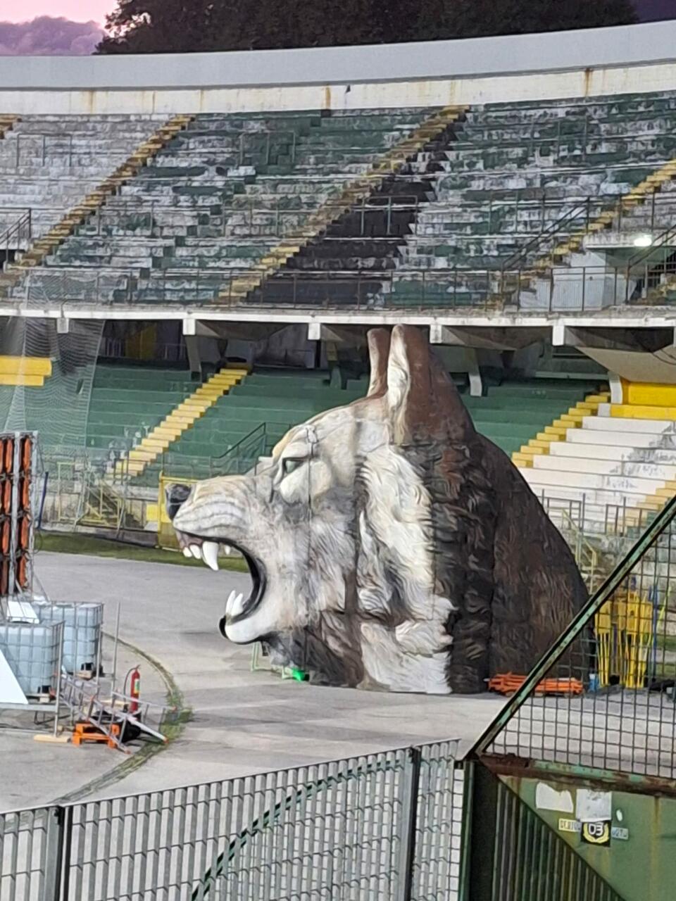 Pronto a ( tornare a ) ruggire il lupo di Irpinia