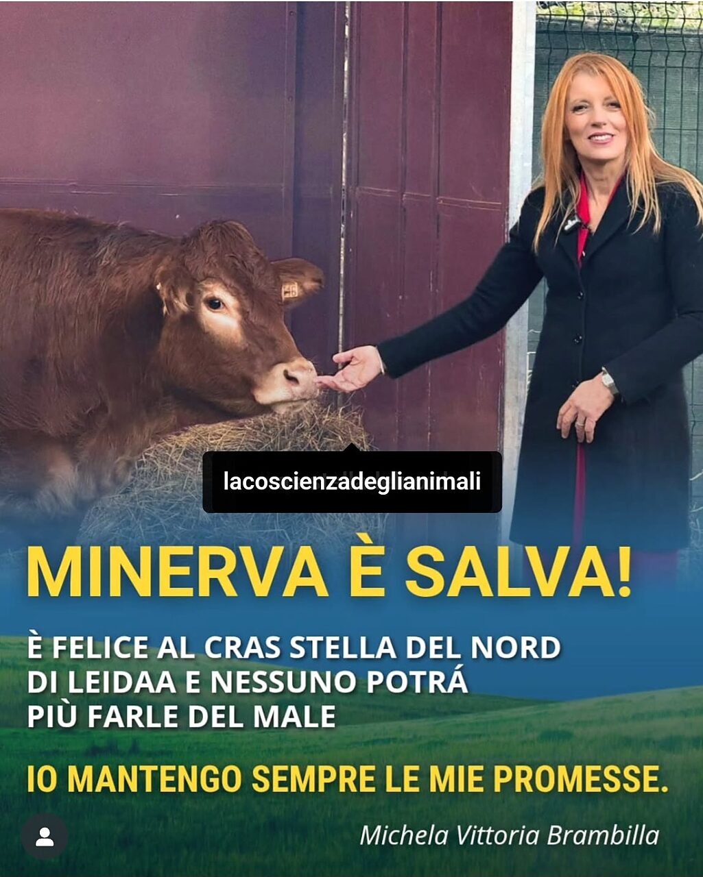 Mucca Minerva e Michela Vittoria Brambilla