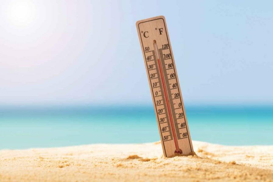 caldo