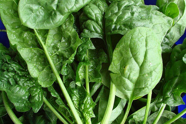 spinaci