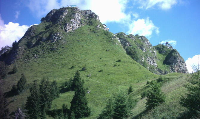 VITASNELA