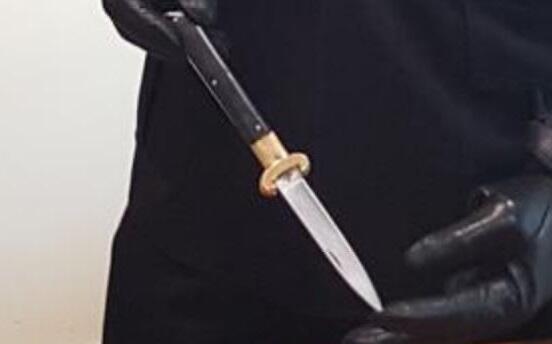 Coltello