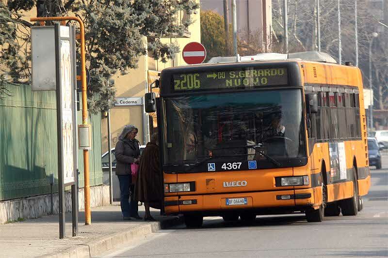 bus