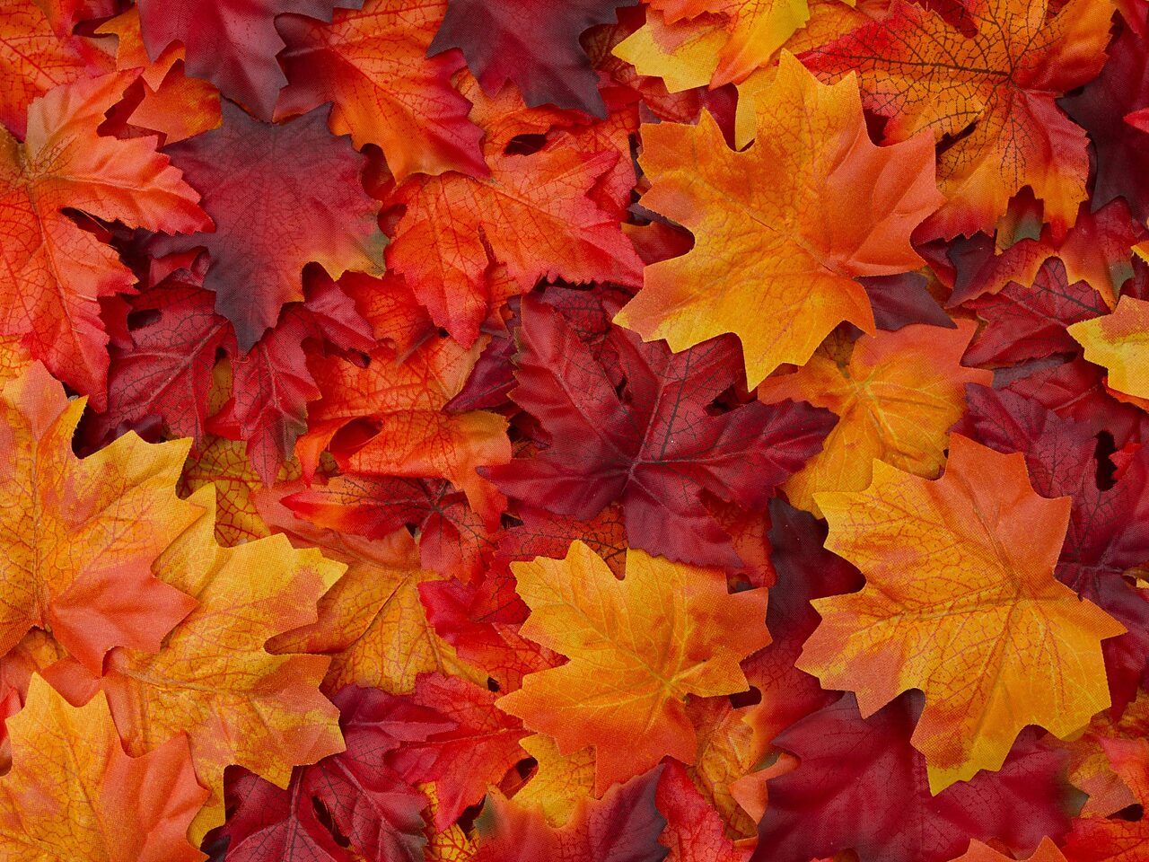 Autunno a Monza e in Brianza, 5 cose da fare almeno una volta per godersi la stagione