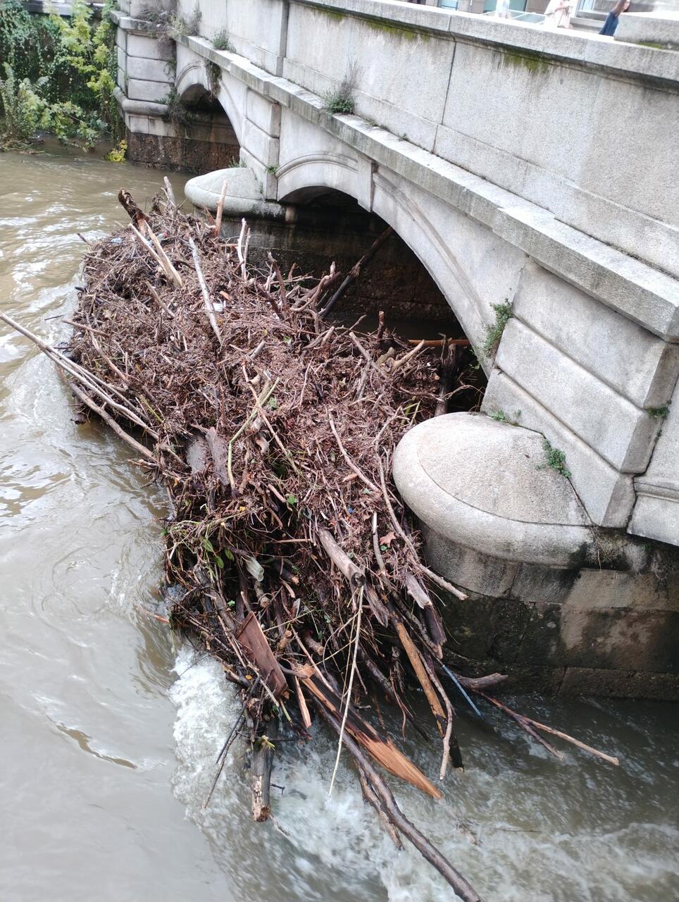 lambro monza