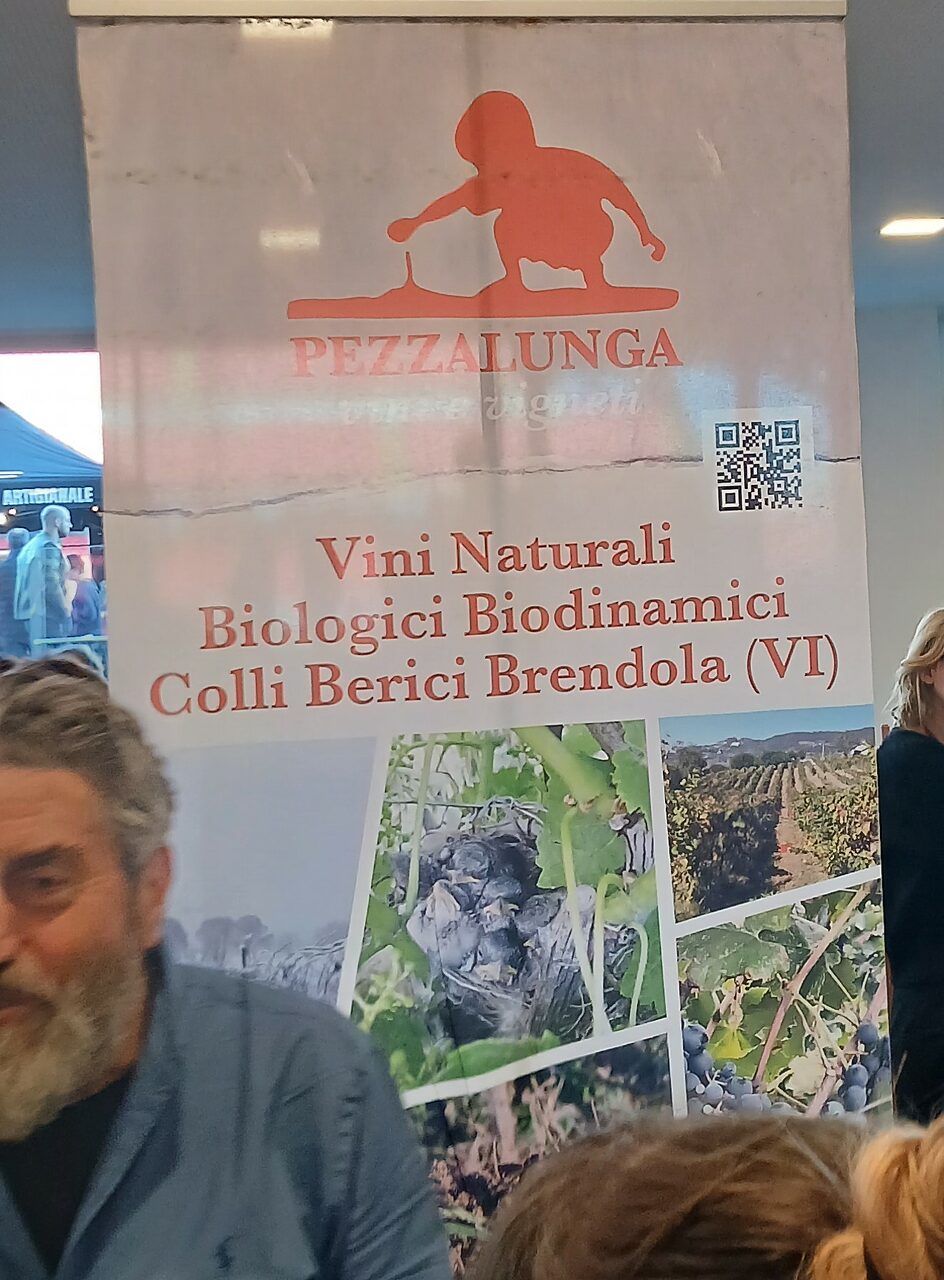 Pezzalunga - Colli Berici