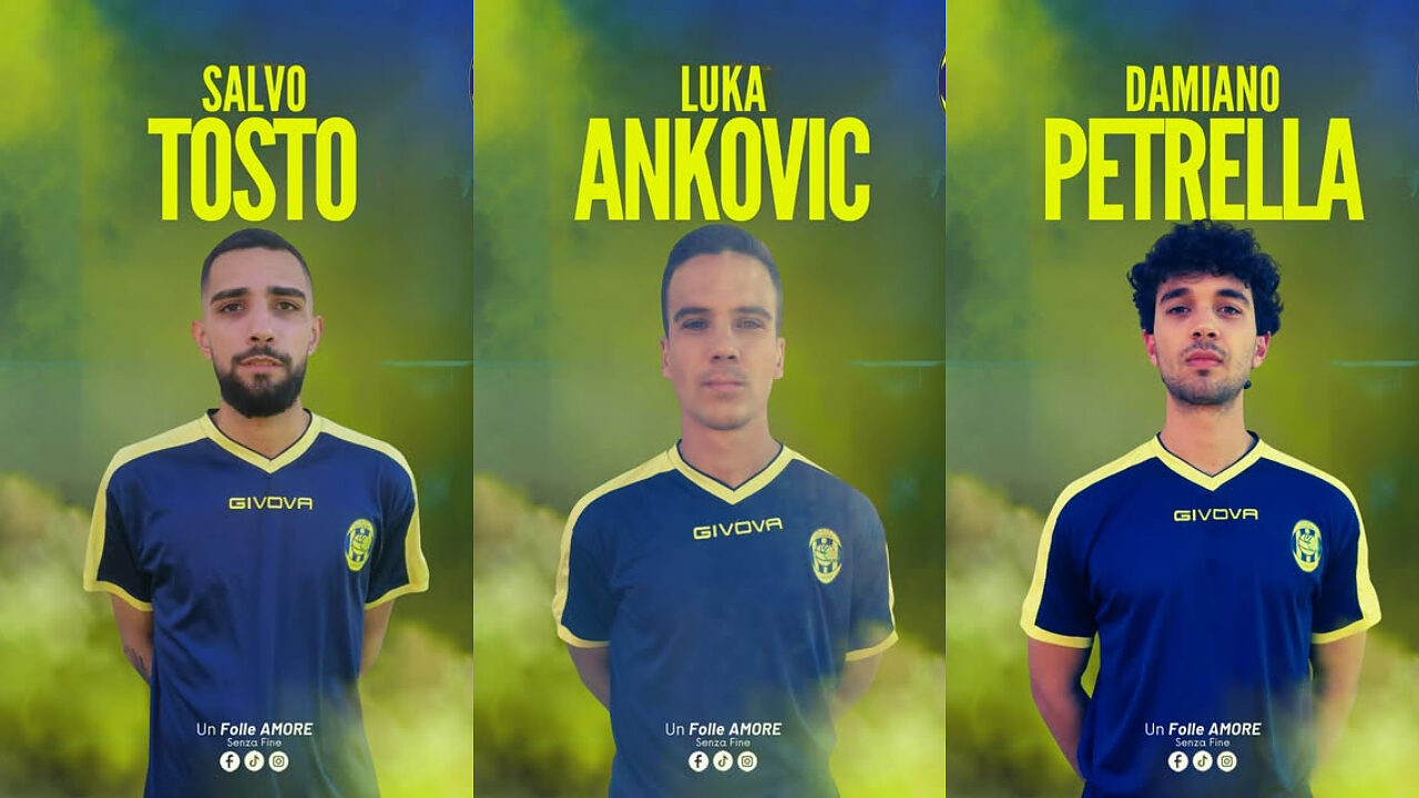 Tosto, Ankovic, Petrella