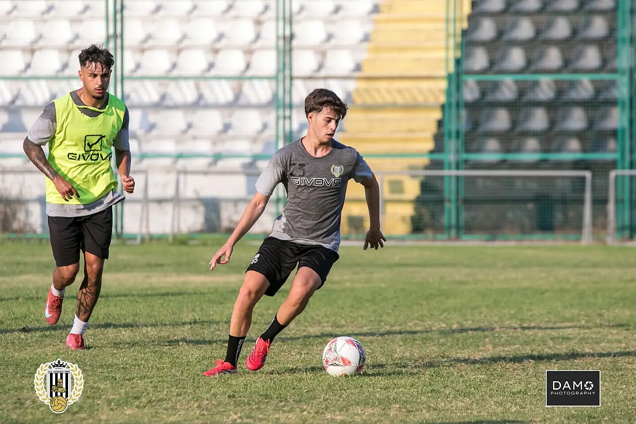 foto Damo