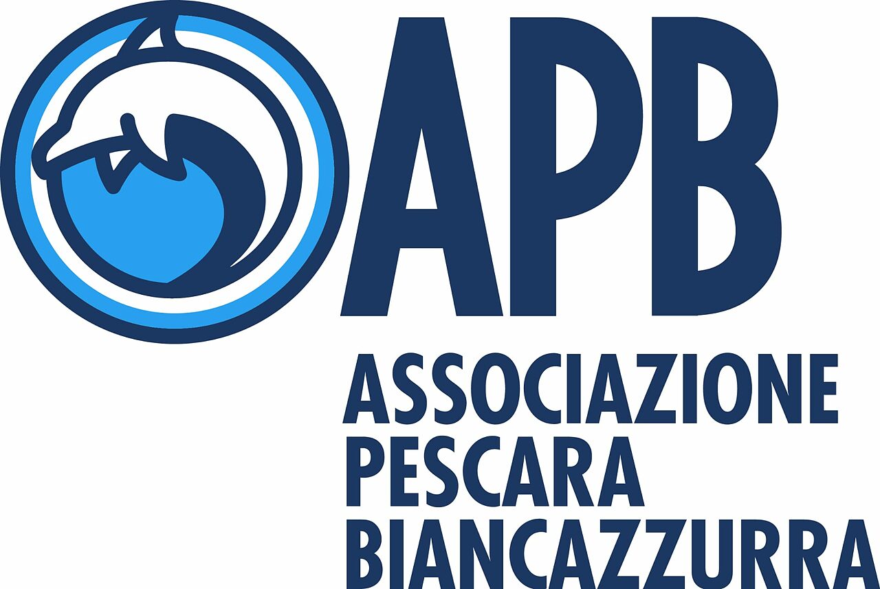 Associazione Pescara biancazzurra, progetto partito