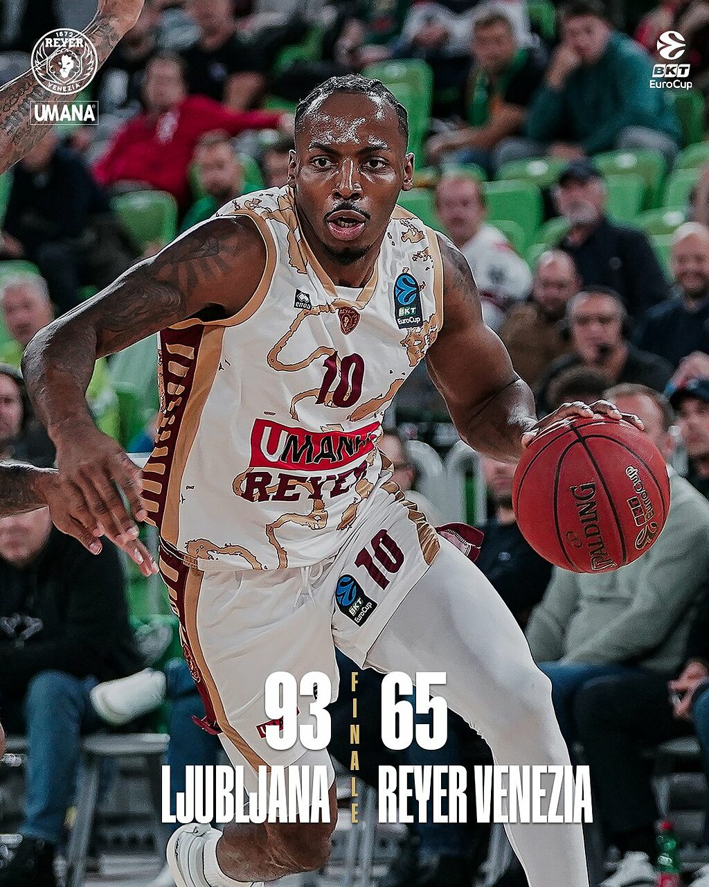 Reyer incenerita in Slovenia