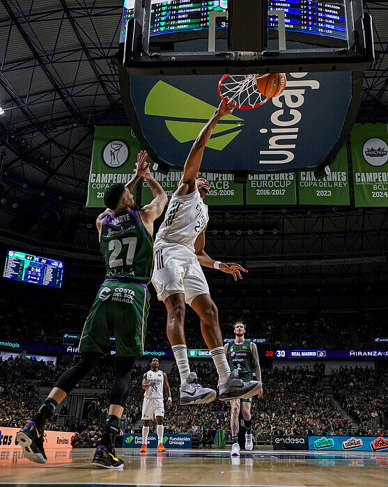 Tavares, immagine del dominii fisico del Real a Malaga