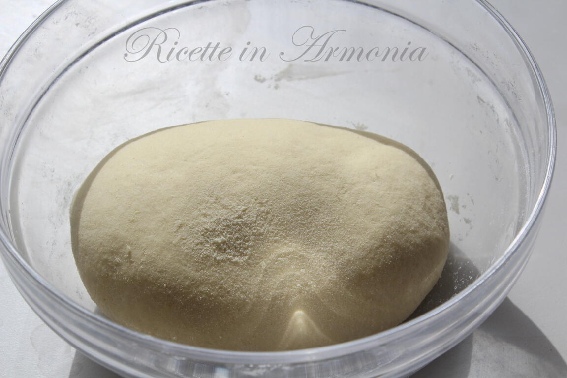 orecchiette pugliesi fatte a mano (3)