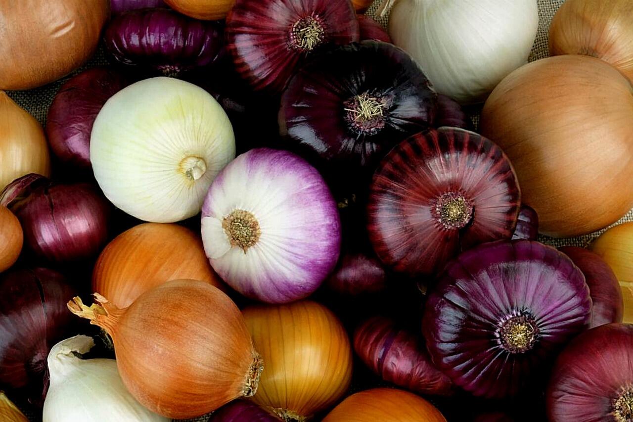 cipolle colorate di cannara