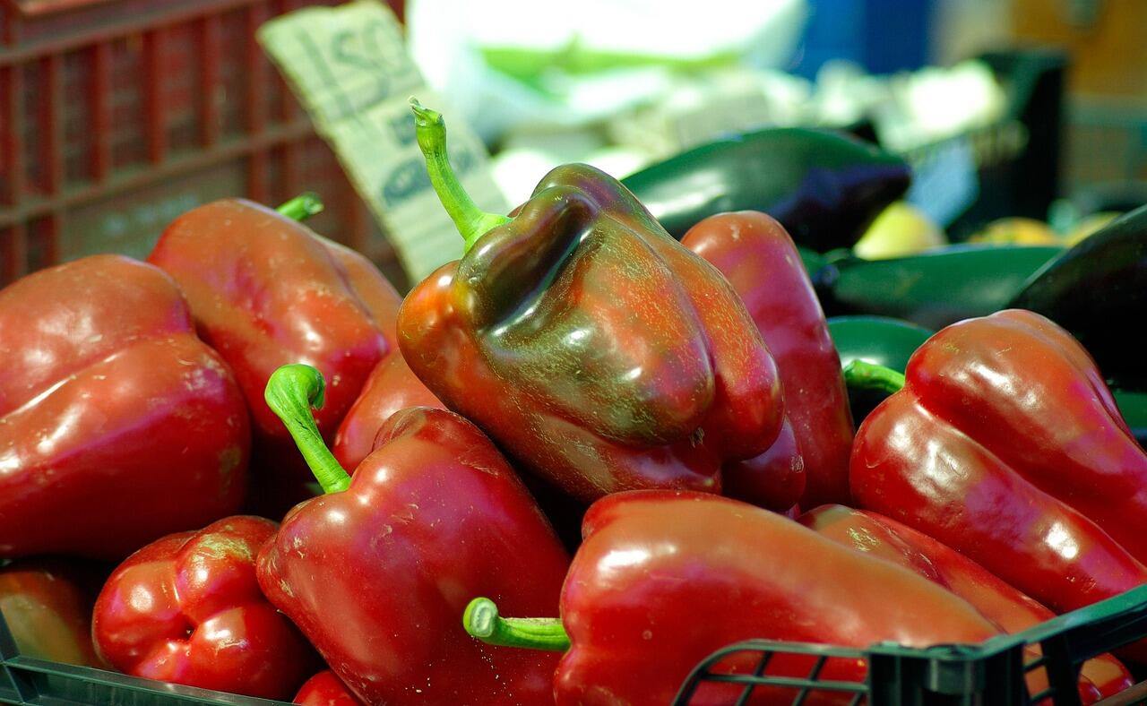 peperoni rossi appena raccolti