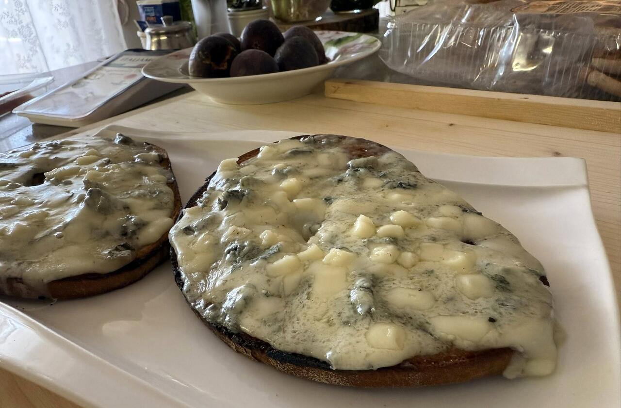 bruschette al gorgonzola fuso in forno