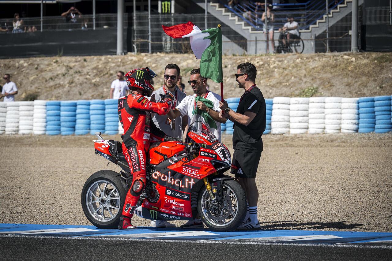 Bulega