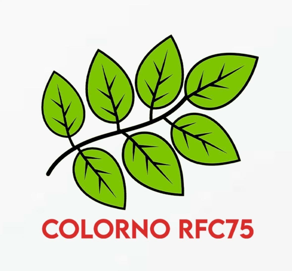 Il nuovo logo mantiene le radici della squadra fondata nel '75