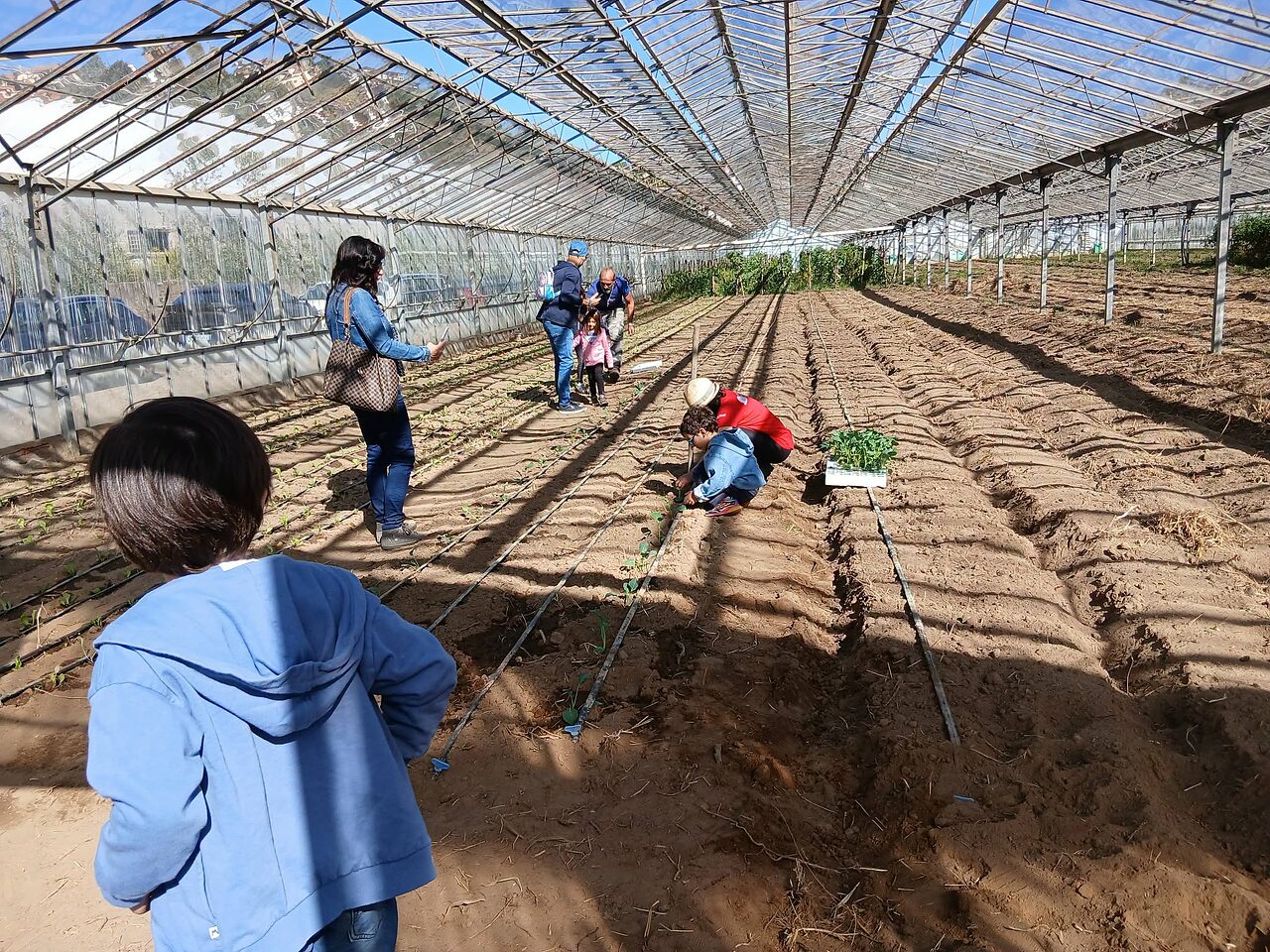 Cura della terra alla Cooperativa Arcadinoè