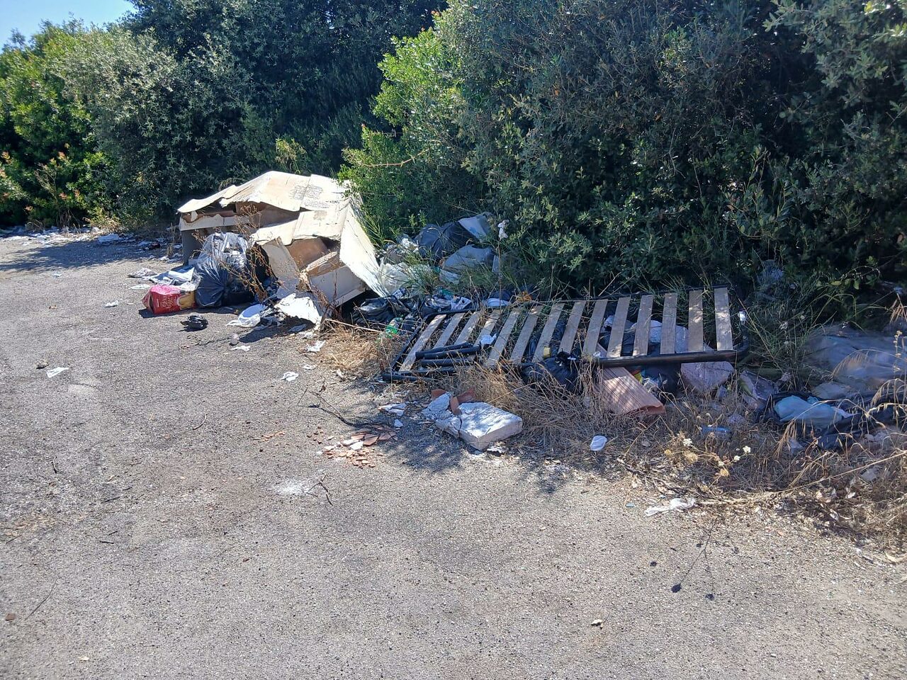 strada rifiuti