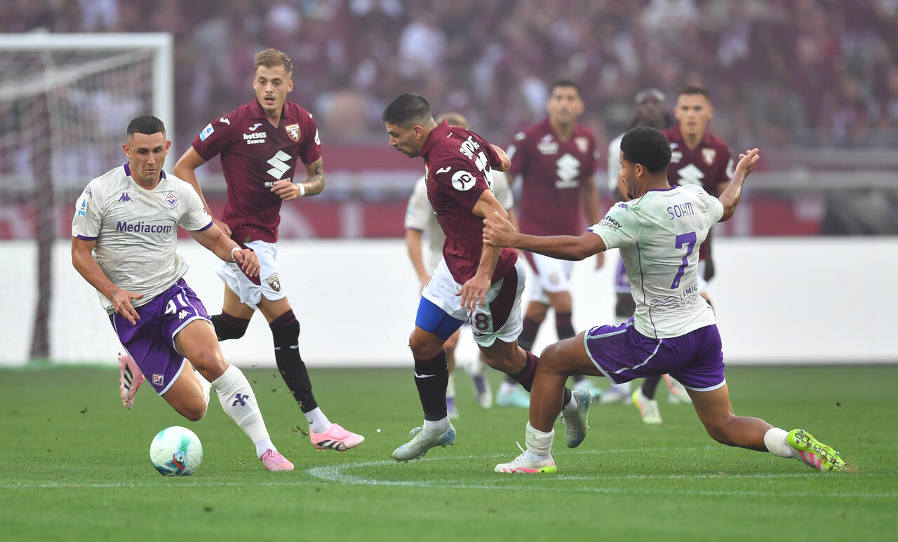 Torino vs Fiorentina