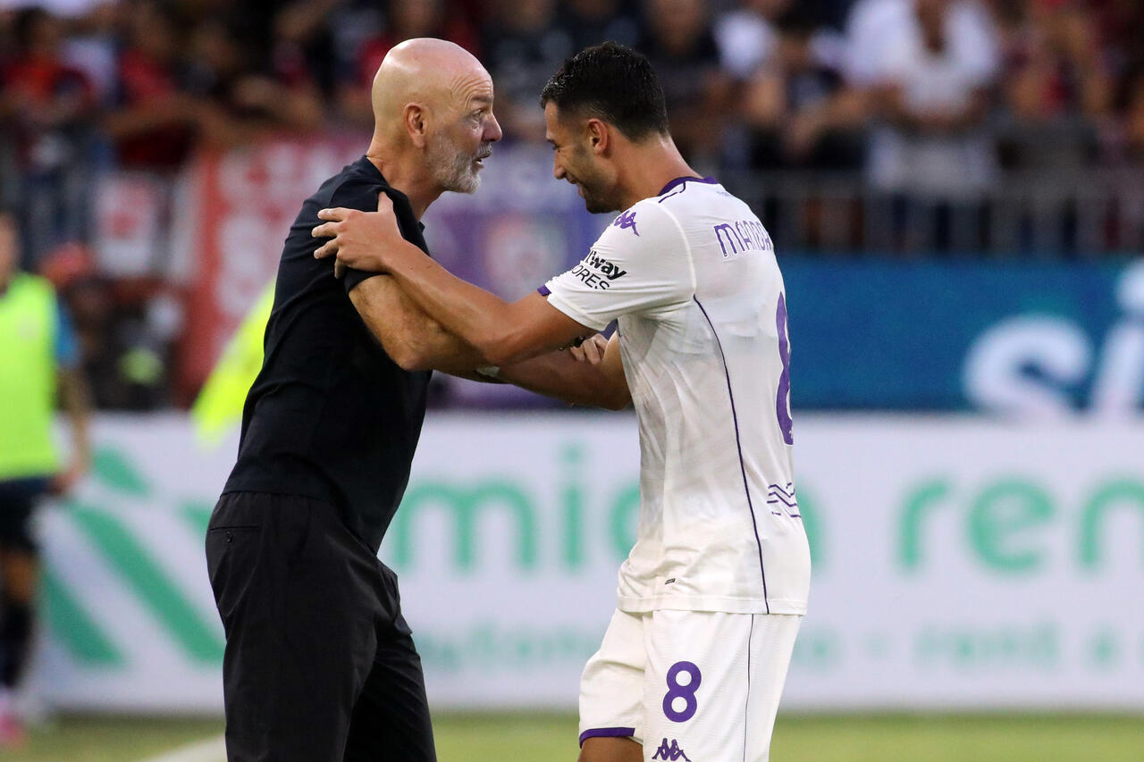 Mandragora e Pioli