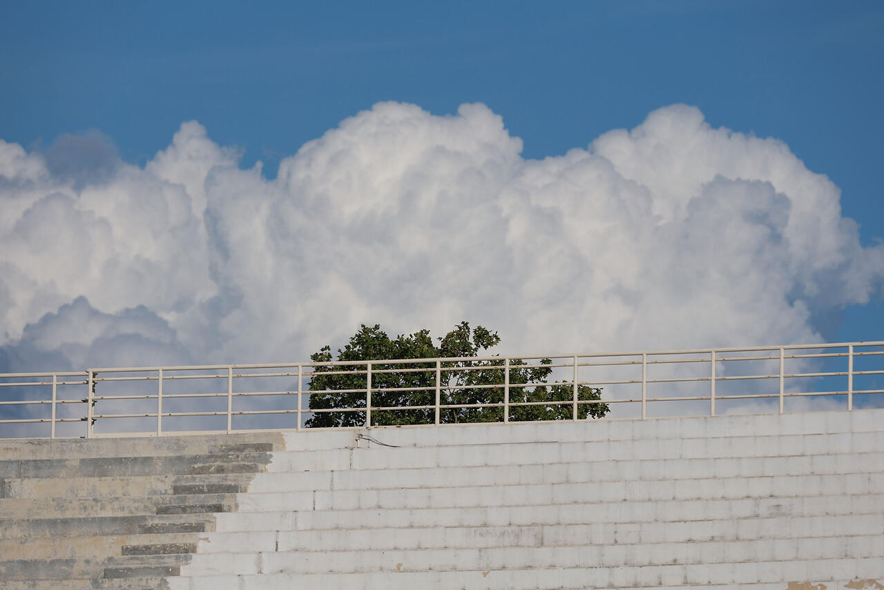 Stadio Franchi