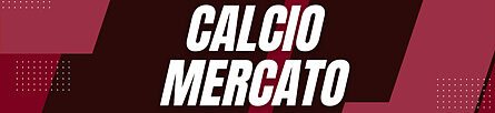 Calciomercato Torino Fc