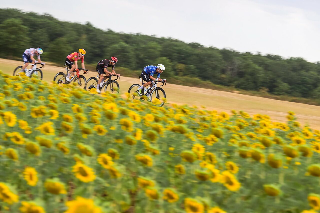 Alaphilippe, Charmig, Le Berre e Oliveira in fuga durante l'undicesima tappa del Tour de France 2026 © Tour de France via X