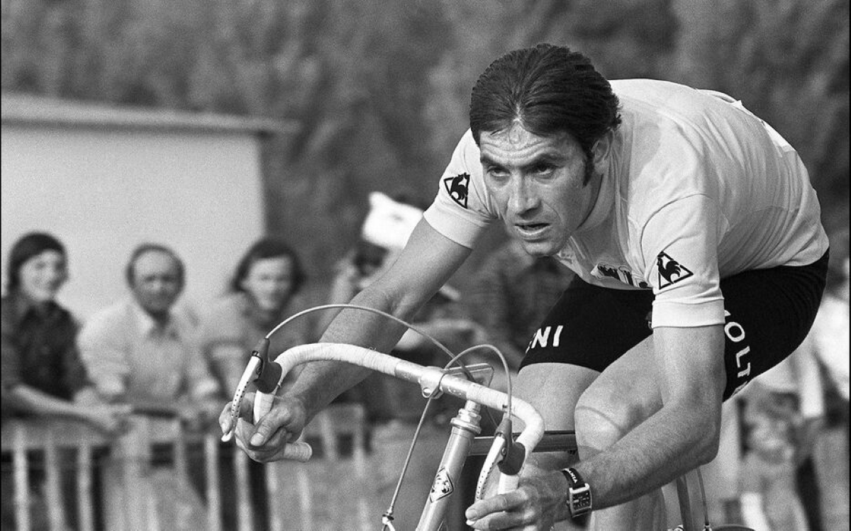 eddy-merckx