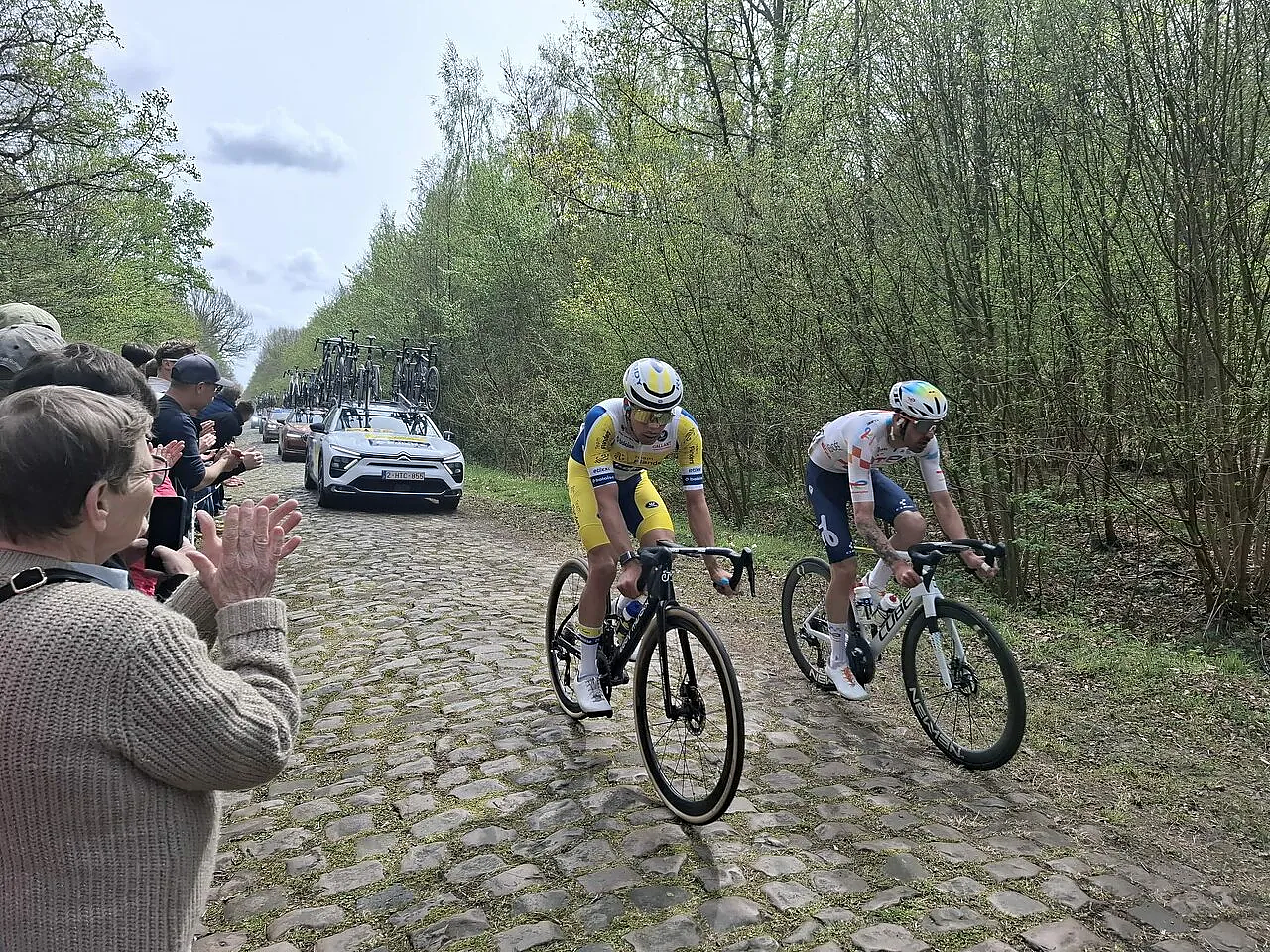 Il passaggio sulla Foresta di Arenberg ©Umberto Bettarini