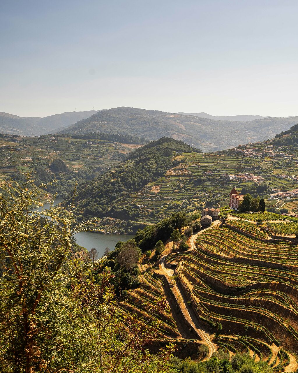 Le paysage autour de la zone d’arrivée