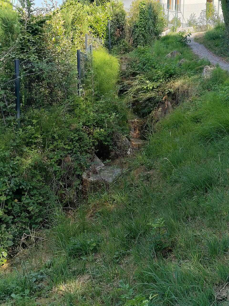 L’acqua, a Evian-les-Bains, è ovunque © I.P.