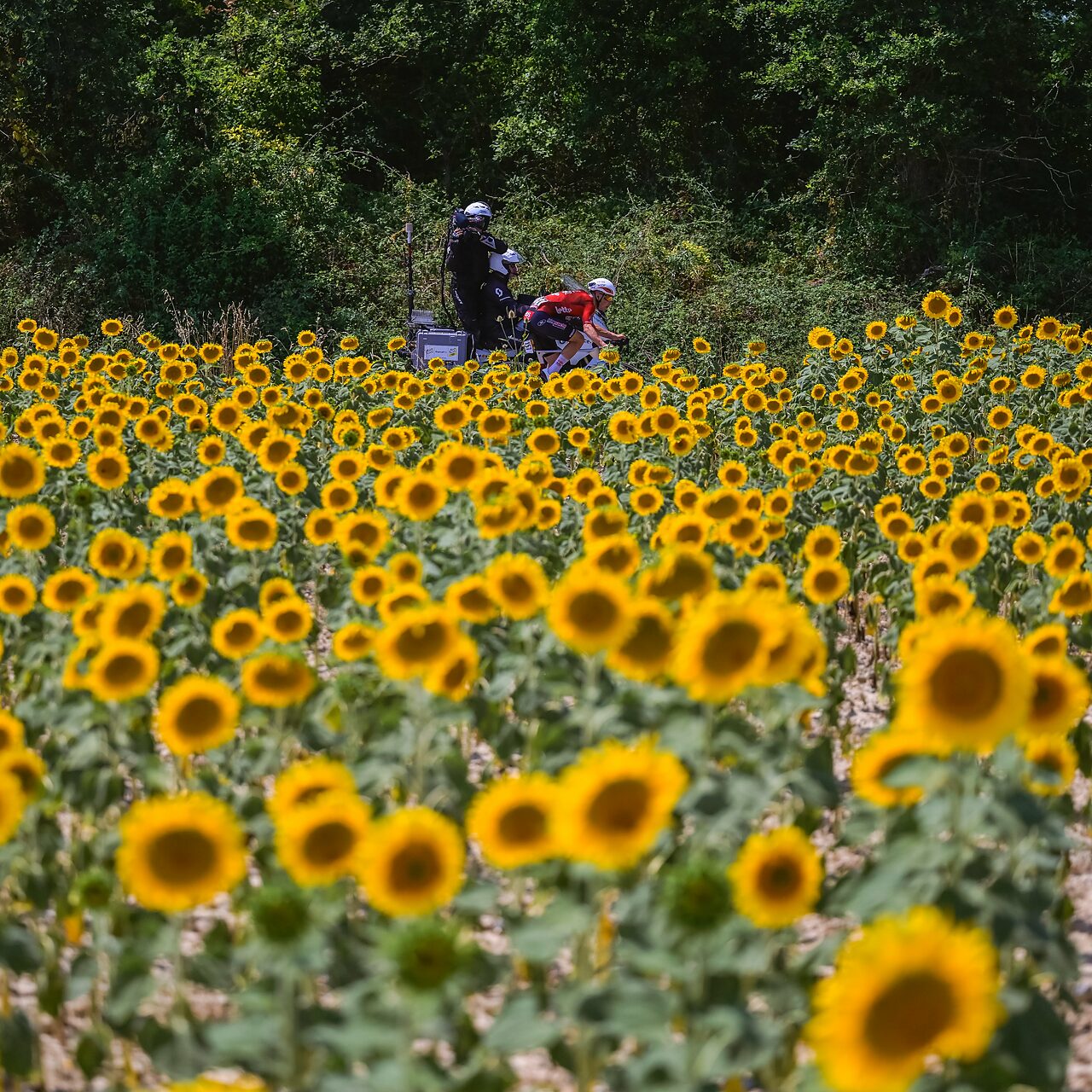 Baptiste Veistroffer in fuga durante la quinta tappa del Tour de France 2026 © Tour de France via X