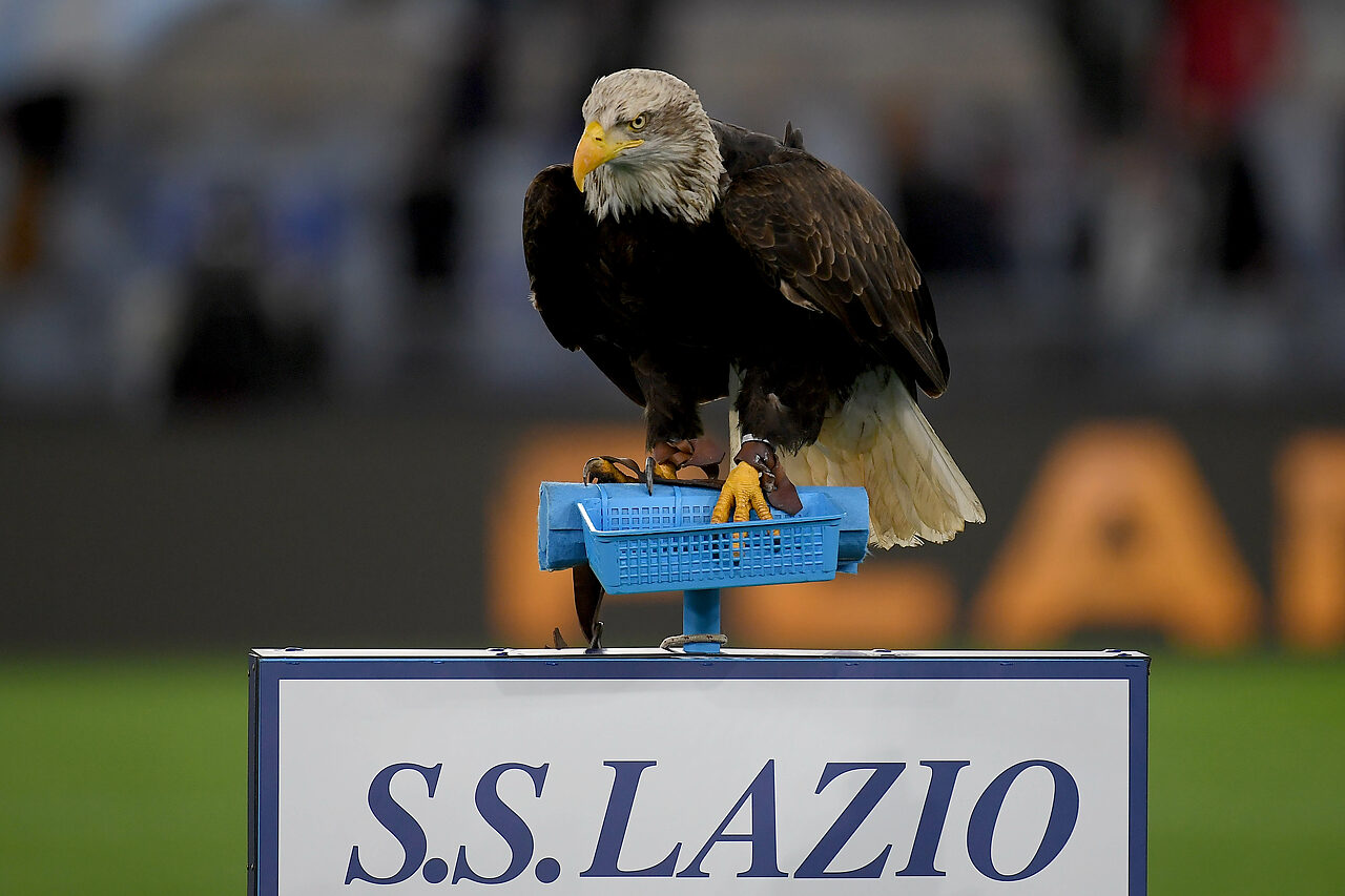 Foto di Marco Rosi - SS Lazio/Getty Images via onefootball