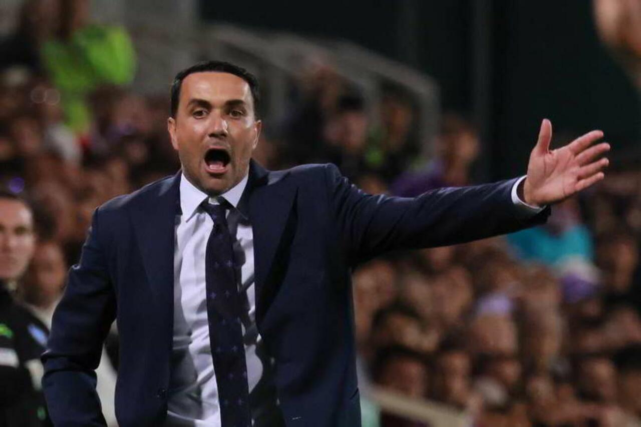 Palladino Fiorentina