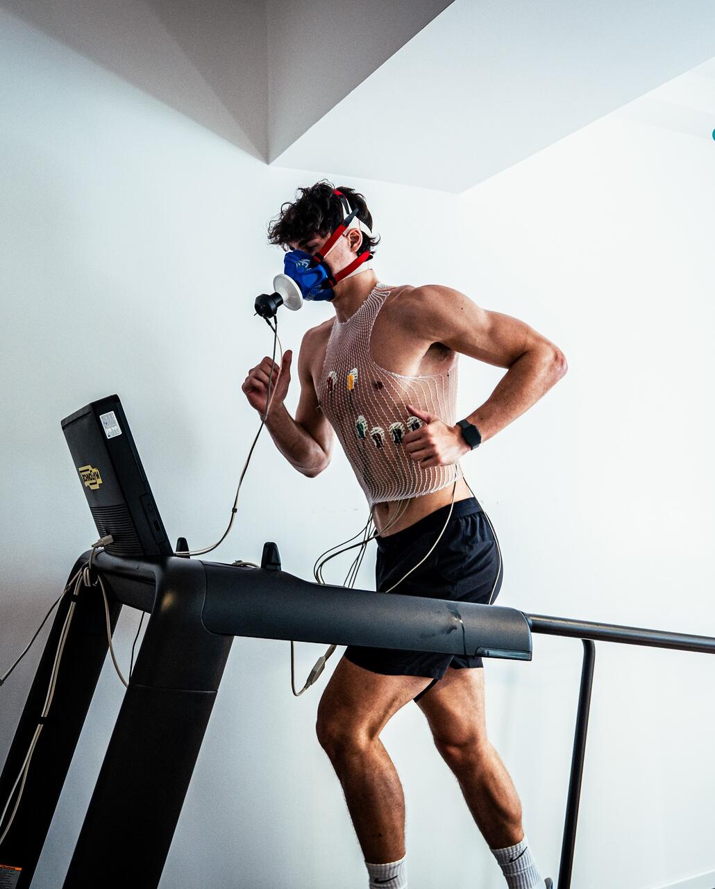 La Fortitudo a tre settimane dall'inizio dei lavori