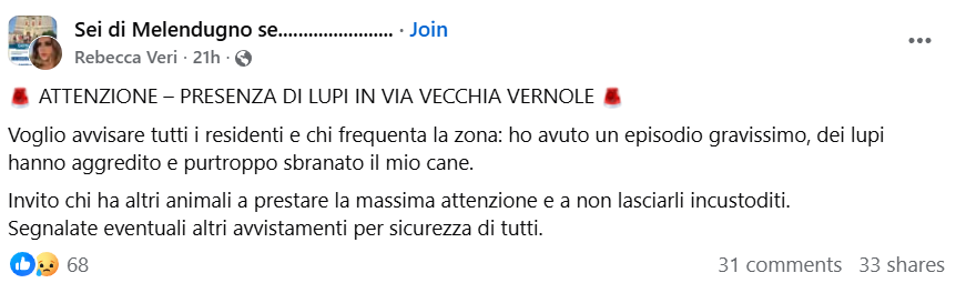 post su aggressione lupi ad un cane