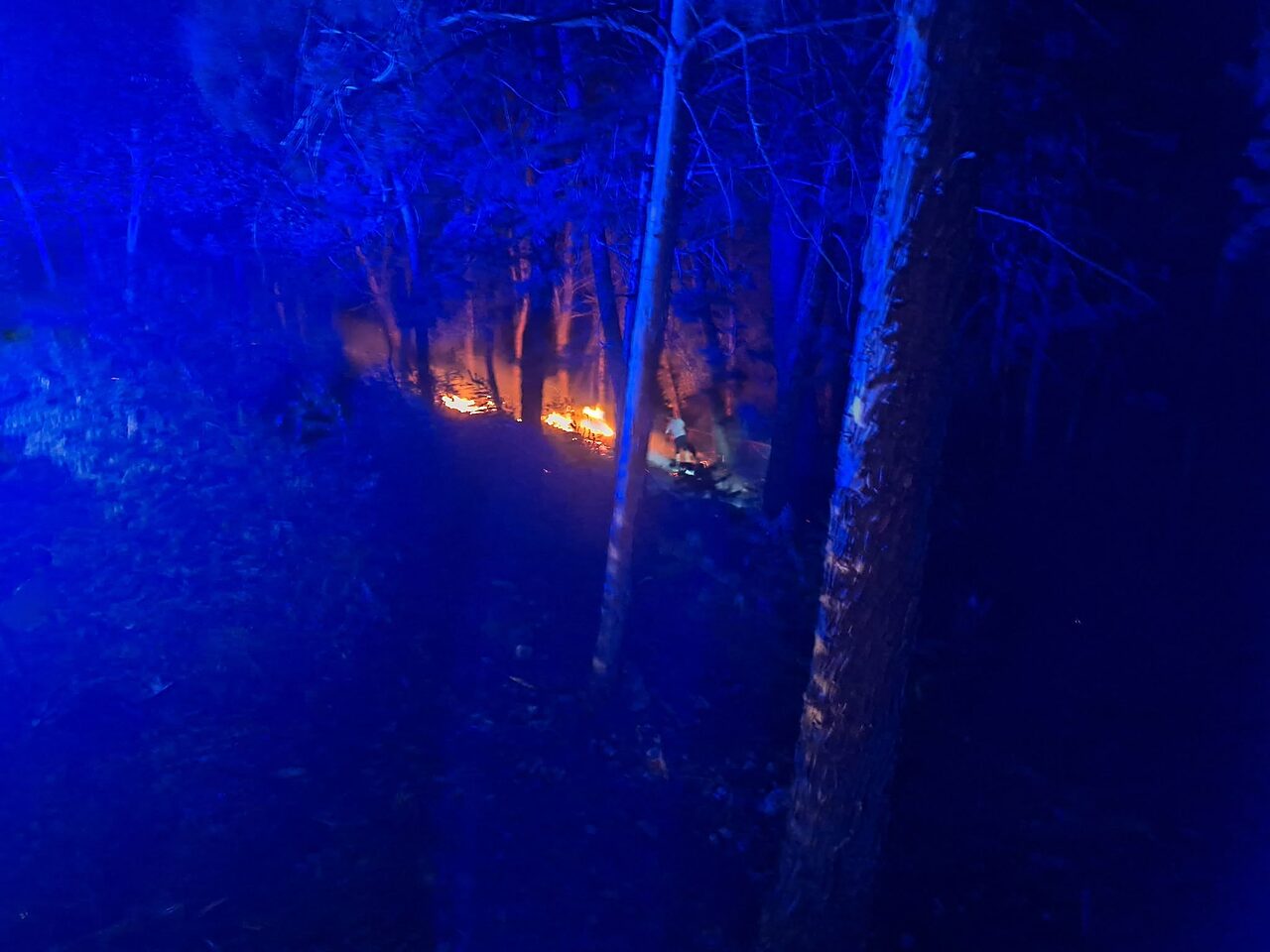 incendio notte