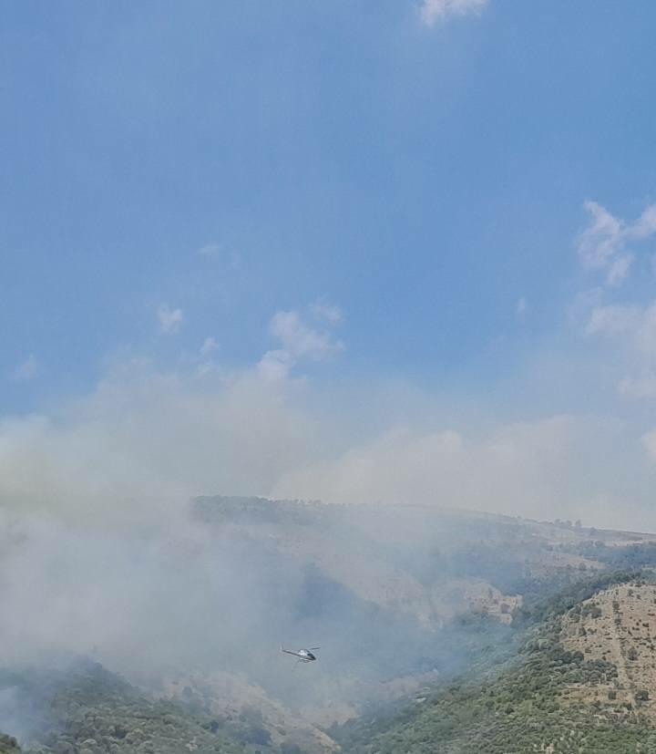 incendio collina