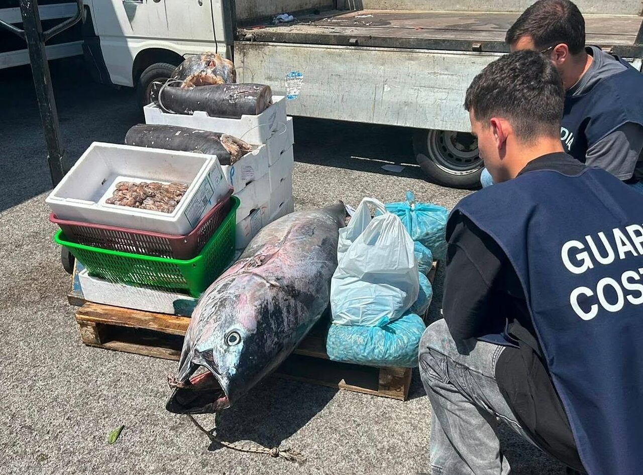 sequestro pesce guardia costiera