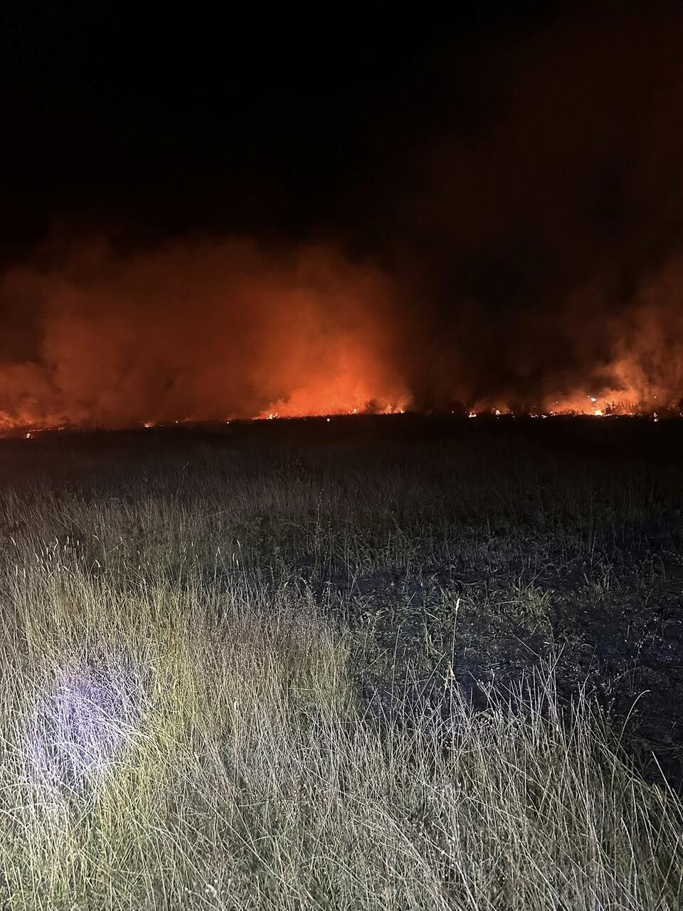 incendio oasi variconi
