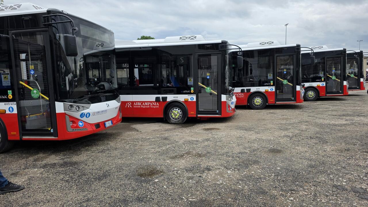 bus air campania