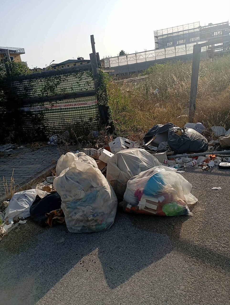rifiuti abbandonati