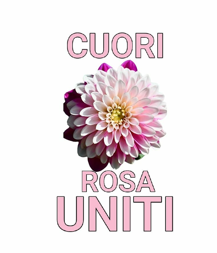 cuori rosa uniti