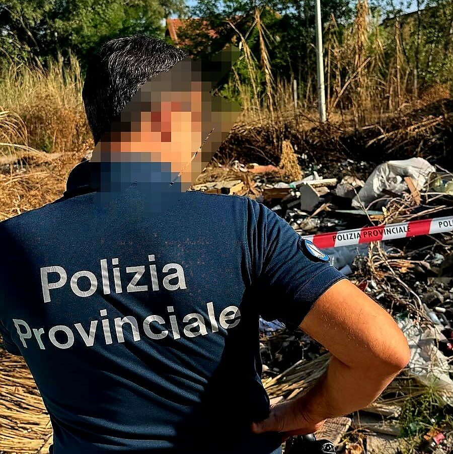 I controlli