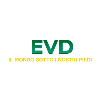EVD