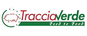 Traccia Verde