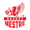 Gemini Mestre