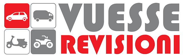 VUESSE REVISIONI